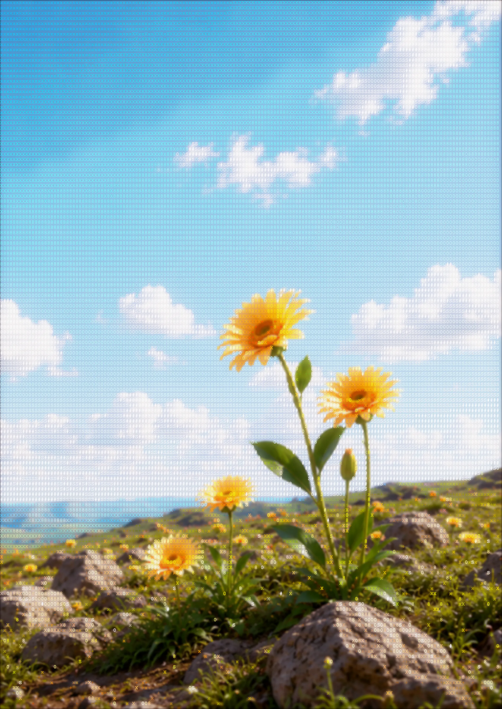 A meadow of yellow daisies under a blue sky, woven from dithered characters
